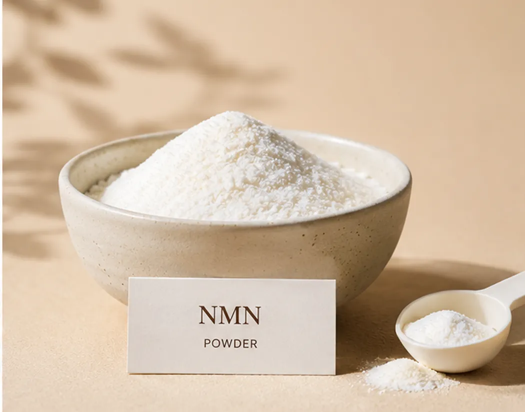 Longevity & Anti-Aging