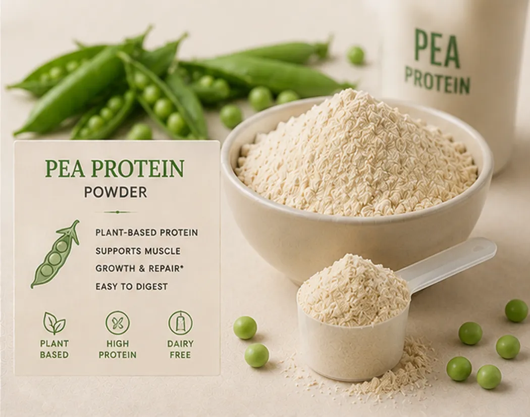 Protein & Amino Acids